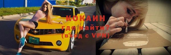 стаф Баксан