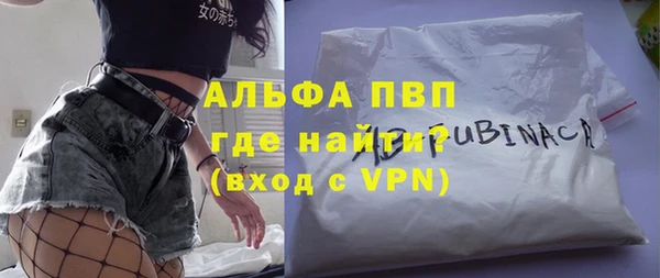 стаф Баксан