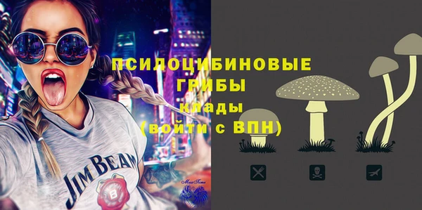 стаф Баксан