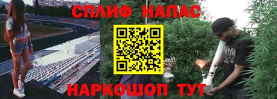 стаф Беслан