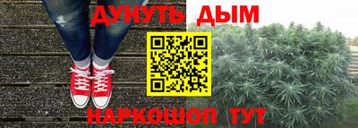 индика Будённовск