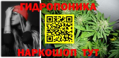 индика Будённовск