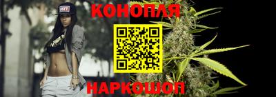 прущие грибы Бийск