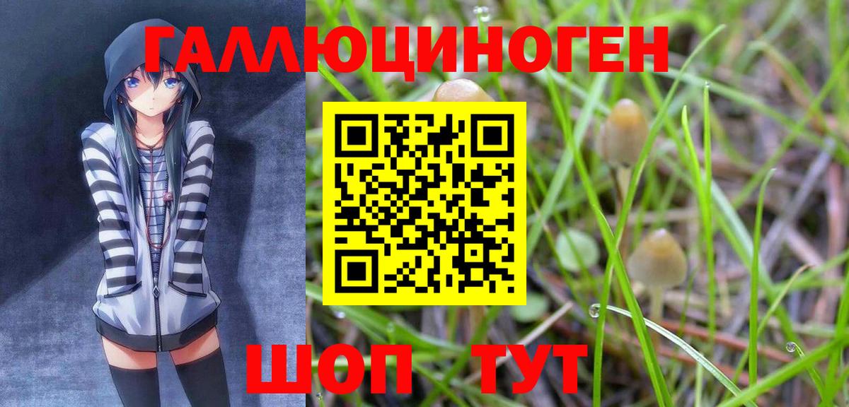 Псилоцибиновые грибы мицелий  Горячий Ключ 