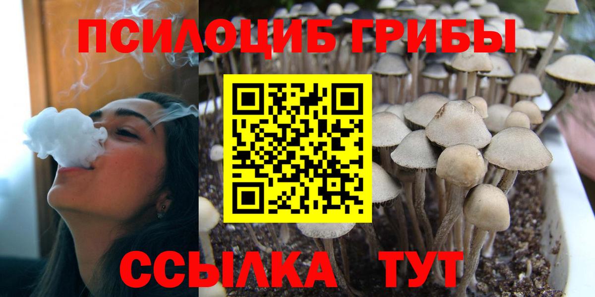 Псилоцибиновые грибы MAGIC MUSHROOMS Горячий Ключ