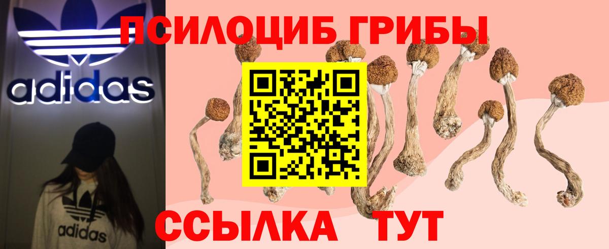 Галлюциногенные грибы MAGIC MUSHROOMS Горячий Ключ